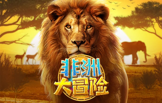 0149澳门彩官网